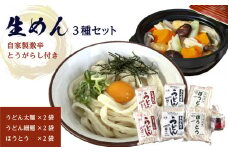 生めんセット（うどん太麺２袋・うどん細麺２袋・ほうとう２袋）自家製激辛とうがらし付き