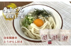 生うどん太麺１２袋セット　自家製激辛とうがらし付き