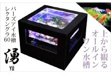 バーズアイ水槽「湧-YU-」レクタングラ60（ブラック）
