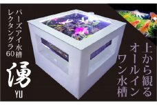 バーズアイ水槽「湧-YU-」レクタングラ60（ホワイト）