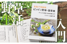 薬草膳処じゅん庵　書籍「ピンピン野草・薬草食」