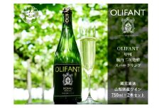 【山梨ワイン】蔵元直送「OLIFANT甲州瓶内二次発酵スパークリング750ml×2本セット」