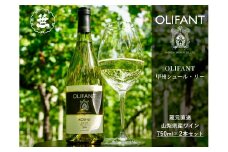 【山梨ワイン】蔵元直送「OLIFANT甲州シュール・リー750ml×2本セット」
