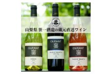 【蔵元直送】笹一酒造のOLIFANT(オリファン)ワイン＜赤・白・ロゼ＞3本セット
