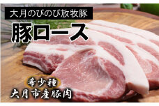 【希少豚】大月のびのび放牧豚【カツ・ステーキ用ロース】600g以上 (約150g×4)