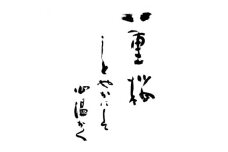 大月市オリジナルNFTアート 「花言葉・八重桜」 花ことば工房  志村雅芳筆