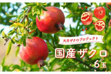 【2025年先行予約】国産ザクロ  ６玉