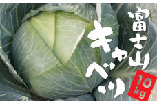 【先行予約】富士山キャベツ　10kg