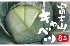 【2026年出荷分先行予約】富士山キャベツ　9kg