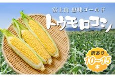 【2026年収穫分先行予約】【訳あり】富士山 恵味ゴールド トウモロコシ　10～15本