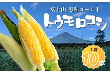 【2026年収穫分先行予約】富士山 恵味ゴールド トウモロコシ　10本
