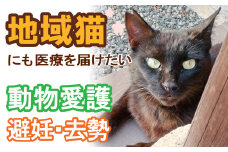 【殺処分ゼロへ！NPO法人大月ねこサポーターズ】猫の避妊・去勢手術　保護活動　お礼の手紙