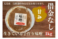 天然醸造 借金なし大豆味噌 大月産 自然栽培大豆＆米100%使用