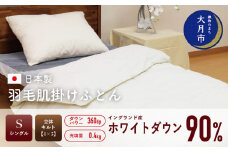 羽毛布団 【シングル】肌掛 イングランド産 ホワイトダウン 90% 400g  DP360 【H-5】