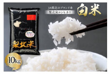 米 梨北米 コシヒカリ 10kg [梨北農業協同組合 山梨県 韮崎市 20743165] こしひかり お米 おこめ こめ コメ 精米 10キロ ご飯 ごはん 白米 国産 JA梨北