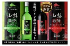 ワイン 『韮崎ワイン』 赤 白 720ml ２本セット 1440ml 赤ワイン 白ワイン お酒 酒 洋酒 アルコール セット 飲み比べ 晩酌 日本ワイン 送料無料 [サン.フーズ 山梨県 韮崎市 20743267] 