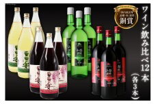 赤 白 ワイン 飲み比べ12本セット 赤ワイン 白ワイン 韮崎ワイン お酒 酒 アルコール 葡萄の宴 セット 4種類 飲み比べ 軽口 酒 お酒 洋酒 送料無料 [サン.フーズ 山梨県 韮崎市 20743269] 