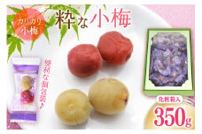 【やばいだろ】粋な小梅 350g [山梨農産食品 山梨県 韮崎市 20742087] 梅干し 梅干 うめぼし 梅 小粒 小梅 カリカリ梅 国産 個包装