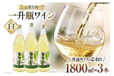 ワイン セット 白ワイン 白 葡萄の宴 山梨県 名物 一升瓶ワイン 1.8L 1,800ml 3本セット ワイン わいん やや辛口 辛口 山梨 お酒 酒 宅飲み 一升瓶 山梨 晩酌 葡萄酒 5L 以上 レビューキャンペーン [ サン.フーズ 山梨県 韮崎市 20743108 ]