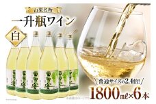 ワイン 白ワイン 白 葡萄の宴 山梨県 名物 一升瓶 ワイン 1,800ml 6本 セットやや辛口 辛口 一升瓶 レビューキャンペーン 1.8L 6本 山梨 晩酌 葡萄酒 業務用 パーティー 家飲み 10L以上 サン.フーズ / 山梨県 韮崎市 [20743109]