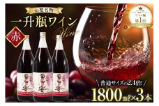 ワイン セット 赤ワイン 赤 山梨県 名物 一升瓶 ワイン 葡萄の宴 1,800ml 3本 わいん 甘口 軽口 国産 お酒 酒 宅飲み 業務用 パーティー 一升瓶 1.8L 3本 山梨 晩酌 葡萄酒 5L 以上 レビューキャンペーン [ サン.フーズ 山梨県 韮崎市 20743334 ]