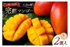 【期間限定発送】 完熟 マンゴー 「天空の輝き」 3L 2個入 [採園 山梨県 韮崎市 20743343] マンゴー アップルマンゴー フルーツ 果物 完熟 期間限定 季節限定 冷蔵