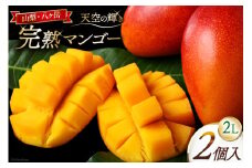 【期間限定発送】 完熟 マンゴー 「天空の輝き」 2L 2個入 [採園 山梨県 韮崎市 20743342] マンゴー アップルマンゴー フルーツ 果物 完熟 期間限定 季節限定 冷蔵