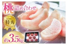 【2025年発送】令和7年 先行予約 韮崎市産 旬 桃 詰め合わせ 約3.5kg もも モモ 果物 くだもの フルーツ 3.5キロ 期間限定 季節限定 冷蔵 産地直送 JA 梨北 共選品 山梨 山梨県産 韮崎産 [梨北農業協同組合 山梨県 韮崎市 20743029]