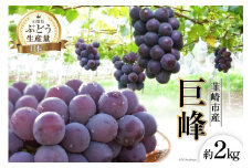【2025年発送】ぶどう 先行受付 令和7年 巨峰 約 2kg 山梨 やまなし ブドウ 葡萄 果物 くだもの フルーツ 2キロ 期間限定 季節限定 産地直送 JA 梨北 厳選 契約農家 山梨 山梨県産 新鮮 贈答 ギフト [梨北農業協同組合 山梨県 韮崎市 20743007]