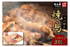 焼き鳥 焼鳥たれ付き10種3本(30本セット) [山本食肉 山梨県 韮崎市 20743347] やきとり 焼鳥 セット 鶏肉 冷凍 小分け 食べ比べ バーベキュー BBQ 惣菜 串 おかず おつまみ 国産 ねぎま もも つくね 砂肝
