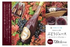 36-2.千葉ぶどう園 ぶどうジュース(720ml)2本詰 [千葉ぶどう園 山梨県 韮崎市 20743374] ジュース フルーツジュース ドリンク ぶどう ブドウ 葡萄 無添加