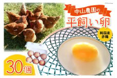卵 中山農園の平飼い卵 30個（割れ保証＋2個）[中山農園 山梨県 韮崎市 20742152] たまご タマゴ 玉子 平飼い 卵