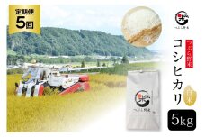米 令和7年 5回 定期便 つぶら野米 コシヒカリ 白米 5kg×5回 総計25kg [つぶら野米 山梨県 韮崎市 20743385] こめ コメ お米 精米 こしひかり