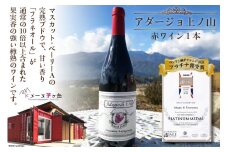 ワイン 赤 ミディアムボディ「アダージョ上ノ山」赤ワイン 750ml 1本 山梨ワイン 日本ワイン フラネオール 10倍 ロンドン酒チャレンジ2020 プラチナ賞受賞 国産 わいん wine 酒 お酒 洋酒 果実酒 アルコール度 12.5％  樽熟成 濃厚 完熟 マスカット・ベーリーＡ [ドメーヌ茅ヶ岳 山梨県 韮崎市 20743376] 