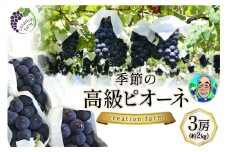 【2025年発送】ぶどう 先行受付 ピオーネ 2kg 山梨 季節のぶどう ピオーネ 山梨 やまなし 高級 3房 約2kg 《8月下旬～9月上旬お届け》 ぶどう ブドウ 葡萄 ピオーネ 大粒 2キロ 果物 フルーツ くだもの 季節限定 期間限定 数量限定 冷蔵 送料無料 [Creation farm 山梨県 韮崎市 20743253]