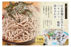 33-3.山本製麺の生冷やむぎバラエティー麺類詰め合わせ [山本製麺所 山梨県 韮崎市 20743398] 生そば ラーメン 焼きそば おざら ざるうどん 冷やむぎ よもぎそば 茶そば そば 詰合せ セット