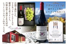 【2025年発送】ぶどう ワイン セット アダージョ上ノ山 赤ワイン 750ml 1本 シャインマスカット 1房 シャインマスカット 山梨 やまなし ワインぶどう ブドウ 葡萄 フルーツ 果物 ワイン お酒 酒 期間限定 季節限定 冷蔵 [ドメーヌ茅ヶ岳 山梨県 韮崎市 20743387]