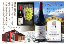 【2025年発送】ぶどう ワイン セット アダージョ上ノ山 赤ワイン 750ml 1本 シャインマスカット 1房 シャインマスカット 山梨 やまなし ワインぶどう ブドウ 葡萄 フルーツ 果物 ワイン お酒 酒 期間限定 季節限定 冷蔵 [ドメーヌ茅ヶ岳 山梨県 韮崎市 20743387]