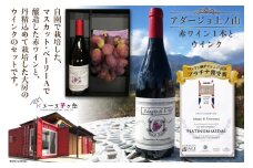 【2025年発送】ぶどう ワイン セット アダージョ上ノ山 赤ワイン 750ml 1本 と ウインク 1房 山梨 やまなし お酒 酒 ブドウ 葡萄 ワインぶどう フルーツ 果物 期間限定 季節限定 冷蔵 [ドメーヌ茅ヶ岳 山梨県 韮崎市 20742801]