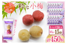 【やばいだろ】粋な小梅 30粒×15 計450粒 [山梨農産食品 山梨県 韮崎市 20743417] 梅干し 梅干 うめぼし 梅 小粒 小梅 カリカリ梅 国産 個包装