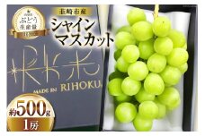 【2025年発送】 先行受付 シャインマスカット 2025 予約 一房 500g～ 600g マスカット 山梨 ぶどう ブドウ 葡萄 果物 くだもの フルーツ 期間限定 季節限定 産地直送 山梨県産 数量限定 [梨北農業協同組合 山梨県 韮崎市 20743010]