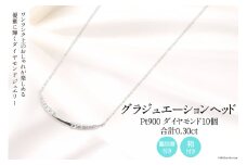 62-13.Pt900 ダイヤ 10個のグラジュエーションヘッド Islauth13 [slauth 山梨県 韮崎市 20743435] アクセサリー ネックレス ジュエリー ダイヤ シンプル おしゃれ プレゼント ギフト 贈りもの 贈答