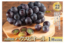 【2025年発送】山梨県産 ハウスピオーネ 1房 約550g  山梨 やまなし ぶどう ブドウ 葡萄 ピオーネ フルーツ 果物 JA全農山梨 産地直送 期間限定 季節限定  [全国農業協同組合連合山梨県本部 山梨県 韮崎市 20742854]