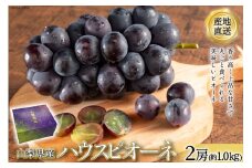 【2025年発送】山梨県産 ハウスピオーネ 2房 約1.0kg 山梨 やまなし ぶどう ブドウ 葡萄 ピオーネ 1キロ フルーツ 果物 JA全農山梨 産地直送 期間限定 季節限定 [全国農業協同組合連合会 山梨県本部 山梨県 韮崎市 20742856]