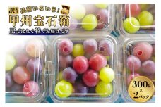 【2025年発送】【訳あり】粒ぶどう 品種いろいろ！甲州宝石箱  300g×2パック 計600g フルーツ 果物 葡萄 ブドウ 食べ比べ 詰合せ 期間限定 季節限定 冷蔵[モリモリファーム 山梨県 韮崎市 20742845]
