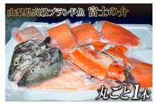 【山梨県高級ブランド魚】「富士の介」丸ごと１本セット / 山本食肉 / 山梨県 韮崎市 [20741209]