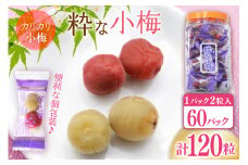 【やばいだろ】粋な小梅 2粒×60 計120粒 [山梨農産食品 山梨県 韮崎市 20743177] 梅干し 梅干 うめぼし 梅 小粒 小梅 カリカリ梅 国産 個包装