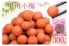 梅干 梅干し カリカリ梅 甲州小梅 300g 小梅うめぼし 梅 小粒 カリカリ小梅 国産 減塩 熱中症予防 お弁当 おにぎり おむすび 送料無料 [山梨農産食品 山梨県 韮崎市 20743178] 