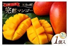【期間限定発送】 完熟 マンゴー 「天空の輝き」 2L 1個 アップルマンゴー [採園 山梨県 韮崎市 20743270] マンゴー アップルマンゴー フルーツ 果物 完熟 期間限定 季節限定 冷蔵