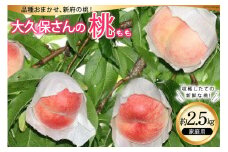 【2025年発送】 桃 もも モモ フルーツ 果物 旬 くだもの 大久保さんの桃 約2.5kg（家庭用）  2.5キロ 山梨県産 産地直送 季節限定 期間限定 新鮮 朝どれ [大久保桃園 山梨県 韮崎市 20742790]